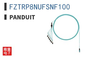FZTRP8NUFSNF100