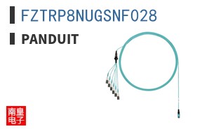 FZTRP8NUGSNF028