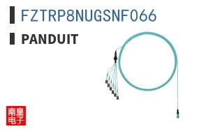 FZTRP8NUGSNF066