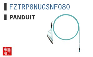 FZTRP8NUGSNF080