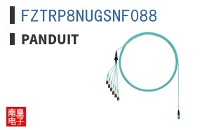 FZTRP8NUGSNF088