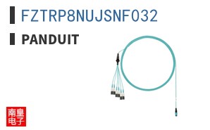 FZTRP8NUJSNF032