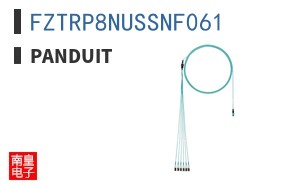 FZTRP8NUSSNF061