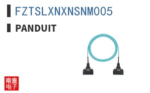 FZTSLXNXNSNM005