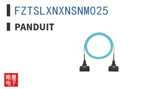 FZTSLXNXNSNM025