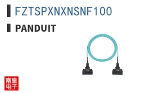 FZTSPXNXNSNF100