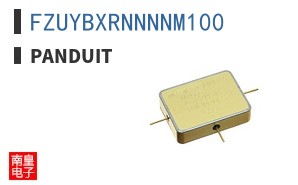 FZUYBXRNNNNM100