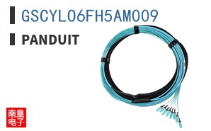 GSCYLO6FH5AM009