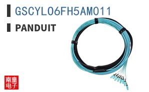 GSCYLO6FH5AM011