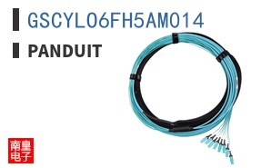 GSCYLO6FH5AM014