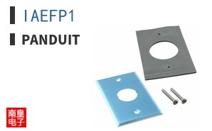 IAEFP1