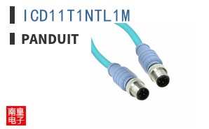 ICD11T1NTL1M