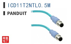 ICD11T2NTL0.5M
