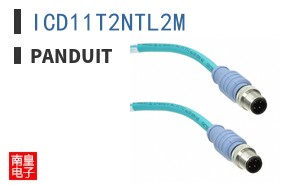 ICD11T2NTL2M