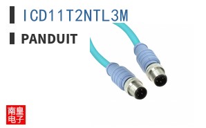 ICD11T2NTL3M