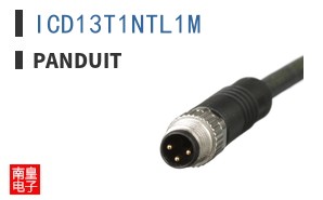 ICD13T1NTL1M