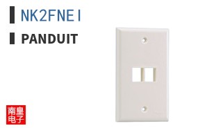 NK2FNEI