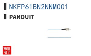 NKFP61BN2NNM001