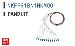 NKFP91BN1NKM001