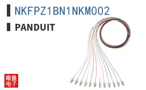 NKFPZ1BN1NKM002