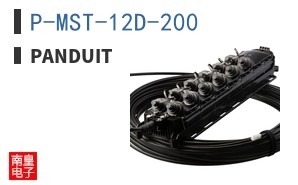 P-MST-12D-200