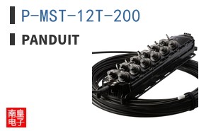 P-MST-12T-200
