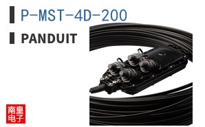 P-MST-4D-200