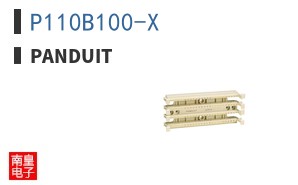 P110B100-X