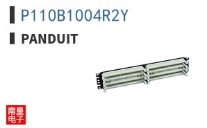P110B1004R2Y