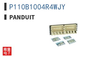 P110B1004R4WJY
