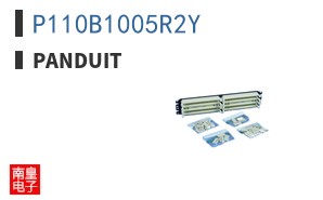 P110B1005R2Y