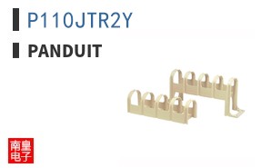 P110JTR2Y