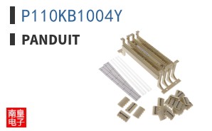 P110KB1004Y