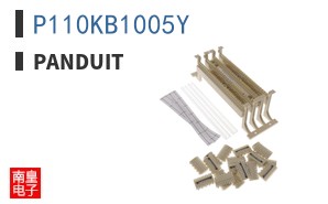 P110KB1005Y