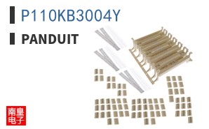 P110KB3004Y