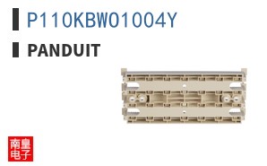 P110KBWO1004Y