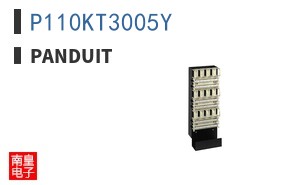 P110KT3005Y