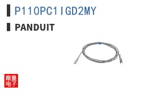 P110PC1IGD2MY