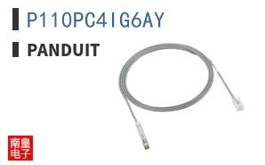 P110PC4IG6AY