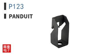 P123
