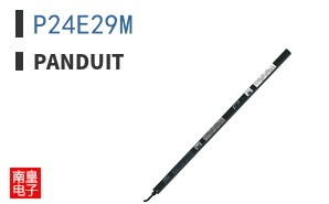 P24E29M