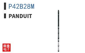 P42B28M