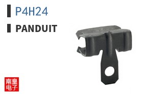 P4H24