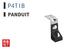 P4TIB