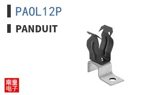 PAOL12P