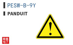 PESW-B-9Y