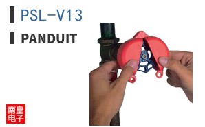 PSL-V13