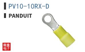 PV10-10RX-D