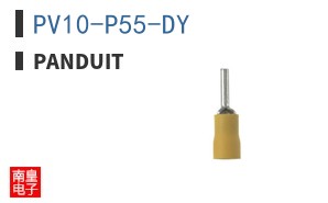PV10-P55-DY