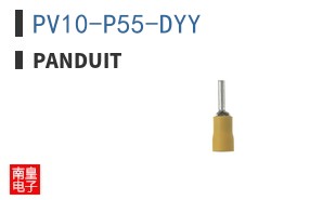PV10-P55-DYY